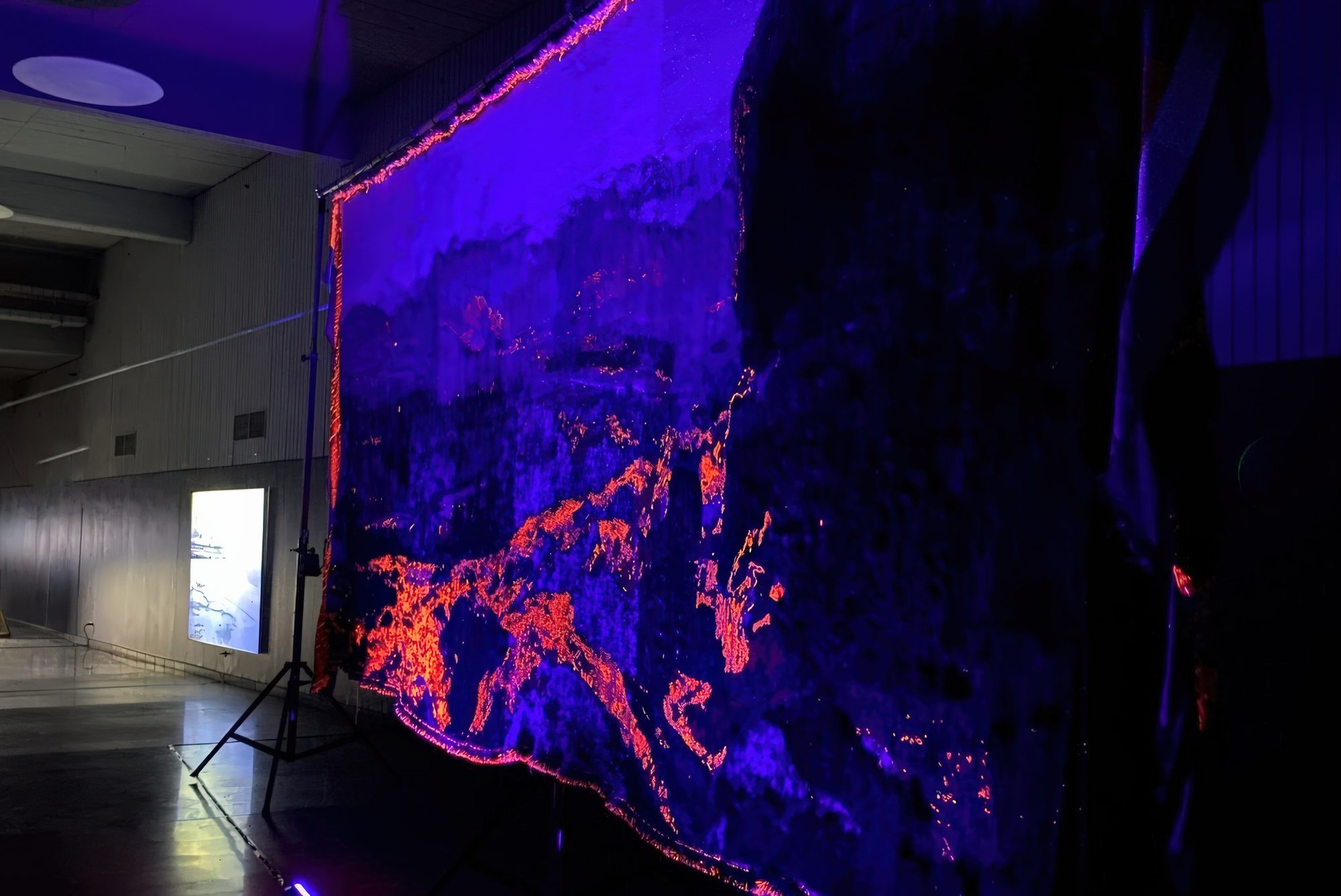 17 BIENAL DE VIDEO Y ARTES MEDIALES, imagen 3